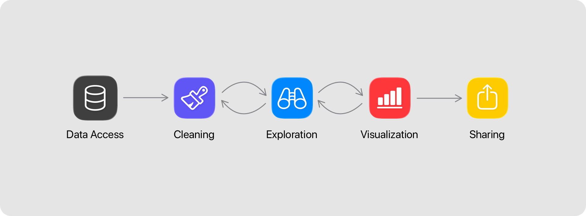 The Coco Alemana workflow: Data Access → Cleaning → Exploration → Visualization → Sharing.