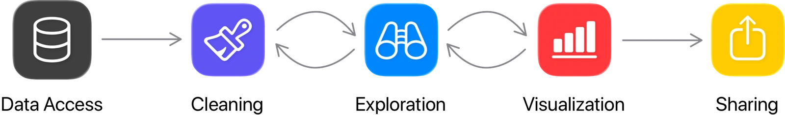 Data access, cleaning, exploration, visualization, and sharing workflow